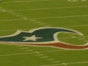 Texans logo- "flat Toro"